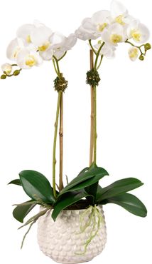 Pearl Orchid Planter Decoration