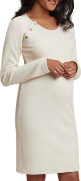 Long Sleeve Maternity/nursing Dress