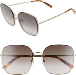 Gloria3 60mm Square Sunglasses - Cream/ Brown/ Gold