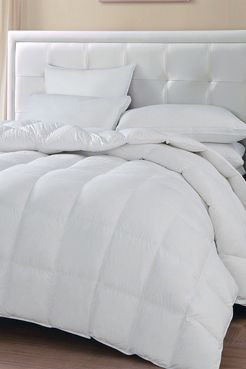 Blue Ridge Home Fashions Oslo Medium Wamth White Goose Down & Feather Comforter - Full/Queen - White at Nordstrom Rack
