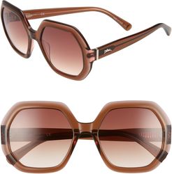 Heritage 55mm Gradient Lens Geometric Sunglasses - Brown/ Rose