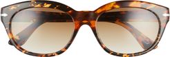 55mm Cateye Sunglasses - Brown Tort/ Clear Gradient