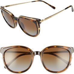 55mm Polarized Cat Eye Sunglasses - Dark Tortoise/ Brown Gradient