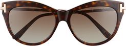 Kira 56mm Polarized Cat Eye Sunglasses - Dark Havana/ Rose Gold/ Brown