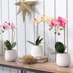 Orchidea artificiale in diversi colori con vaso di ceramica