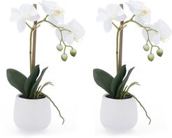 Set 2 orchidee artificiali in vasi di ceramica