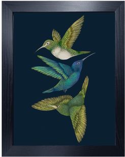 Antique Hummingbirds III Indigo Fine Art Print - A3