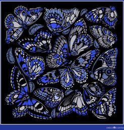 The Tropical Butterfly Pocket Square - Royal Blue