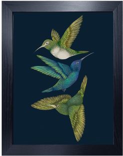 Antique Hummingbirds III Indigo Fine Art Print - A4