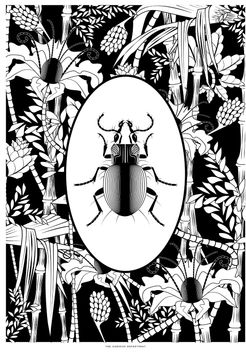 Elemental Beetle Print Black & White
