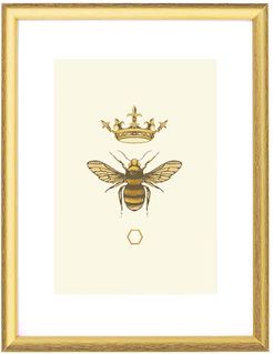 The Honey Queen Bee Fine Art Print A3 Colour