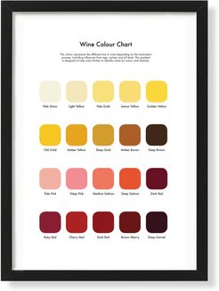 Wine Tasting Colour Chart