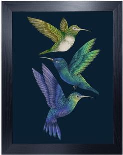 Antique Hummingbirds II Indigo Fine Art Print - A3