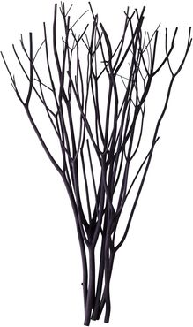 @aroma - Aroma Branches - Black