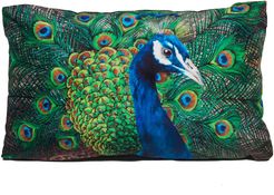 Peacock Cushion - Small