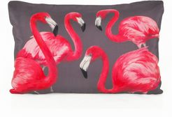 Flock Of Flamingos Cushion