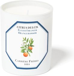 Carrière Frères Scented Candle Orange Blossom - Citrus Dulcis - 185 g