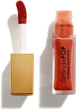 GrandePOP Plumping Liquid Blush 10ml (Various Shades) - Cinnamon Sugar