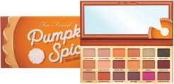 Limited Edition Pumpkin Spice Second Slice Sweet and Spicy Eye Shadow Palette