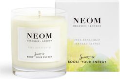 Organics London Feel Refreshed 1 Wick Scented Candle