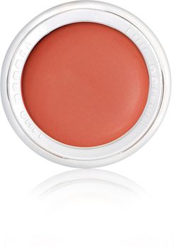 Lip2Cheek Lip & Cheek Stain in Modest