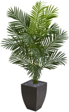 5.5' Paradise Artificial Palm Tree in Planter