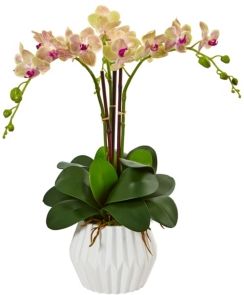 Phalaenopsis Orchid Silk Arrangement in White Vase