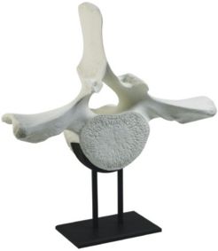 Whale Vertebra Sculpture