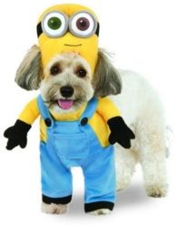Minion Bob Arms Pet Costume