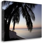 Palm Tree Sunset by Brent Anderson Fine Art Giclee Print on Gallery Wrap Canvas, 40" x 26"