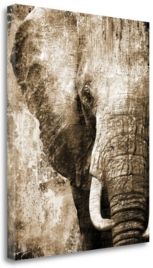 African Animals I - Sepia by Eric Yang Giclee Print on Gallery Wrap Canvas, 16" x 20"