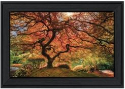 First Colors of Fall I by Moises Levy, Ready to hang Framed Print, Black Frame, 21" x 15"