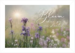 Bloom Where You are Planted by Lori Deiter, Ready to hang Framed Print, White Frame, 21" x 15"