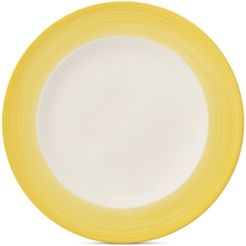 Colorful Life Collection Dinner Plate