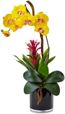 Orchid & Bromeliad Artificial Arrangement in Glossy Black Cylinder Vase