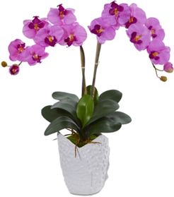 Double Phalaenopsis Orchid Artificial Arrangement in White Ceramic Vase
