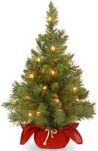 Majestic Fir Tree with Clear Lights