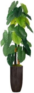 62.25" Real Touch Taro Plant in Resin Planter