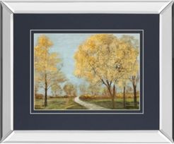 Golden Down by Matin Theodosiu Mirror Framed Print Wall Art, 34" x 40"