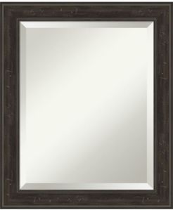 Shipwreck Framed Bathroom Vanity Wall Mirror, 20" x 24"