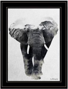 Elephant Walk by andreas Lie, Ready to hang Framed Print, Black Frame, 15" x 19"