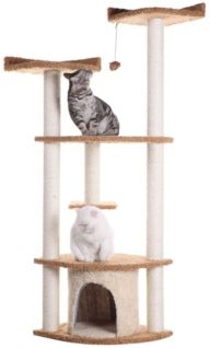 Cat Scratching Furniture and Bed for Cats Play