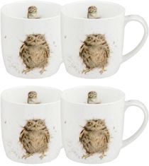 Wrendale Owl Mug "What a Hoot" - Set of 4