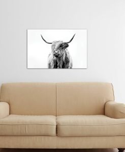 "Portrait Of A Highland Cow" by Dorit Fuhg Gallery-Wrapped Canvas Print (18 x 26 x 0.75)