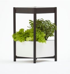 Twelve Indoor Growing System