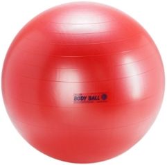 Body Exercise Ball 85