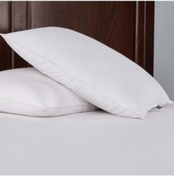 Pillow Standard/Queen Set of 2