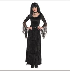 Gothic Temptress Adult Women's Costume