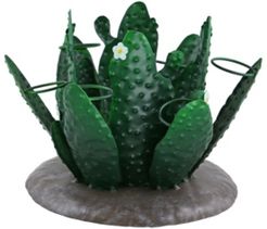 Cactus Bottle and Glass Holder