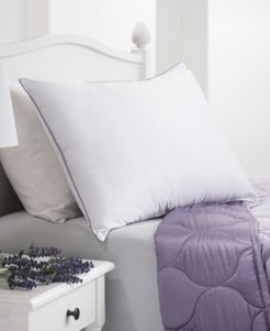 Dream Infusion Lavender Scented Soft Touch Pillow, Standard